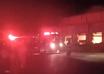 ¿Qué pasó con las miles de aves que estaban en la planta de Bachoco que se incendió en Jalisco?
