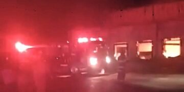 ¿Qué pasó con las miles de aves que estaban en la planta de Bachoco que se incendió en Jalisco?