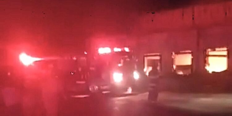 ¿Qué pasó con las miles de aves que estaban en la planta de Bachoco que se incendió en Jalisco?