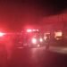 ¿Qué pasó con las miles de aves que estaban en la planta de Bachoco que se incendió en Jalisco?