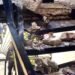 Accidente fatal. ¡Se le acabaron las escaleras a una vecina del fraccionamiento Corales!