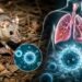 Nuevo caso de hantavirus en Madrid pone en alerta a Europa