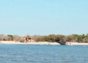 Denuncian destrucción de manglares en Holbox con uso de maquinaria pesada