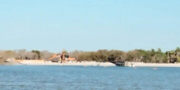 Denuncian destrucción de manglares en Holbox con uso de maquinaria pesada