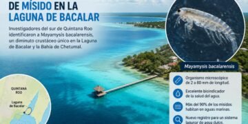 Científicos descubren organismo acuático nunca antes registrado en la Laguna de Bacalar
