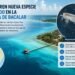 Científicos descubren organismo acuático nunca antes registrado en la Laguna de Bacalar