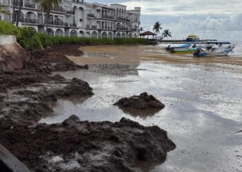 ¿Naufraga el turismo? La marea del sargazo amenaza con hundir la temporada vacacional