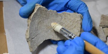 Así es la urna zoomorfa vinculada al inframundo maya que recuperó el Inah