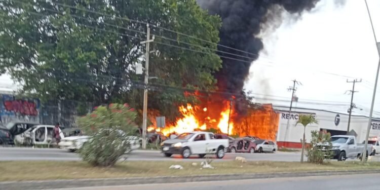 ¿Hay riesgo para la población? Controlan incendio en zona cercana a escuelas y viviendas