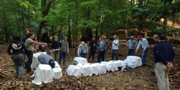 ¡A la selva otra vez! Monos rescatados recuperan la libertad en Chiapas