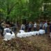 ¡A la selva otra vez! Monos rescatados recuperan la libertad en Chiapas