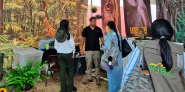Denuncias ciudadanas permiten rescate de aves rapaces y un cocodrilo maltratado