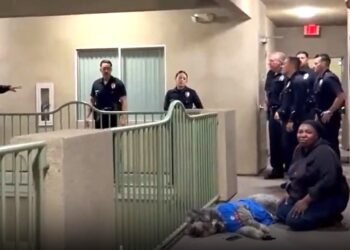Celebraba el título de los Knicks y terminó en tragedia: policía mata a su perro en Los Ángeles
