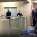 Celebraba el título de los Knicks y terminó en tragedia: policía mata a su perro en Los Ángeles