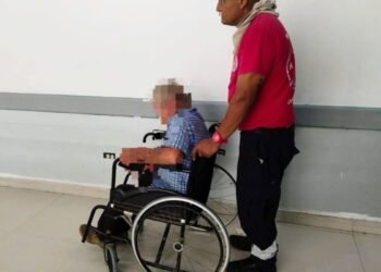 Abuelito termina en hospital general tras picaduras de abejas