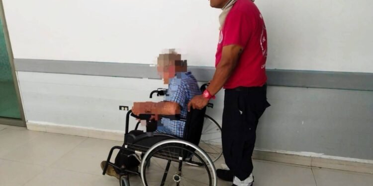 Abuelito termina en hospital general tras picaduras de abejas