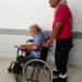 Abuelito termina en hospital general tras picaduras de abejas