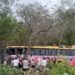 Accidente en la federal 307: autobús turístico de Xcaret termina fuera del camino. Esto pasó