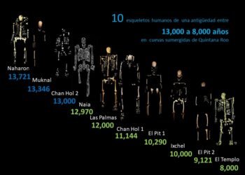 Cenotes de Quintana Roo revelan secretos de los primeros habitantes de la península
