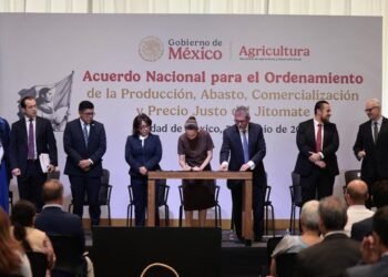 Jitomate con precio justo: Gobierno de México coordina estrategia para ordenar comercialización