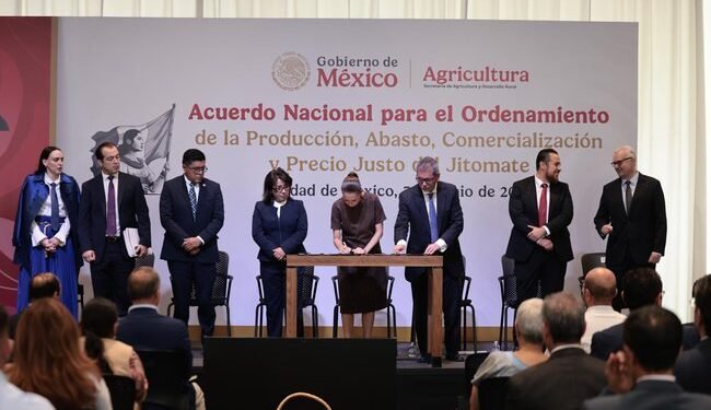 Jitomate con precio justo: Gobierno de México coordina estrategia para ordenar comercialización