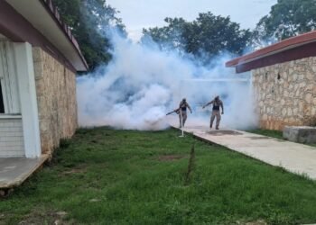 Tu colonia podría estar en zona de riesgo: intensifican combate al dengue