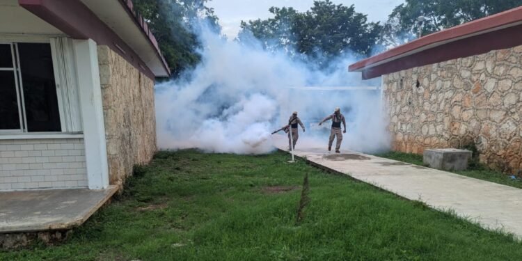 Tu colonia podría estar en zona de riesgo: intensifican combate al dengue
