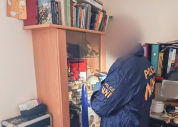 Horror en Budapest; trabajador hospitalario admitió comer partes humanas