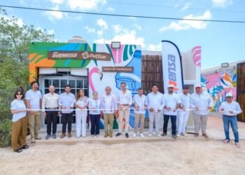 Holbox se convierte en el primer laboratorio de economía circular en México. ¿De qué se trata?