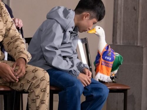 ¡Cuac con derechos reservados! Registran la marca del Pato Merlín ante el IMPI