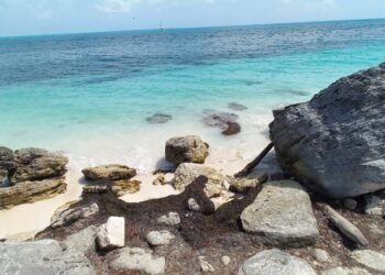 ¿Sin arena y con sargazo? Plan para recuperación de playas se pospondrá hasta 2027