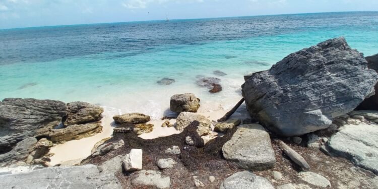 ¿Sin arena y con sargazo? Plan para recuperación de playas se pospondrá hasta 2027