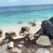 ¿Sin arena y con sargazo? Plan para recuperación de playas se pospondrá hasta 2027