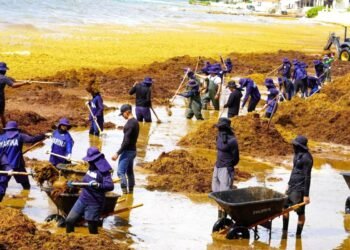 ¡Qué pena con las visitas! El sargazo no da tregua en la antesala del Mundial