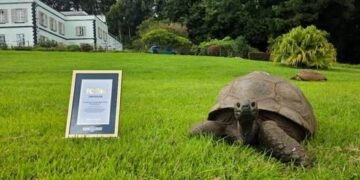 Jonathan, la tortuga que desafía al tiempo: cumple 194 años y entra a la historia