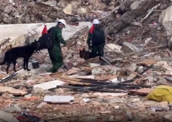 Veintiún sobrevivientes desafían la tragedia en Venezuela; rescatistas trabajan para salvarlos
