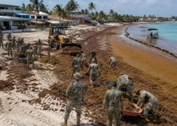 Alistan estrategia ante el pico de sargazo en el Caribe; estiman superar las 92 mil toneladas