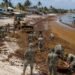Alistan estrategia ante el pico de sargazo en el Caribe; estiman superar las 92 mil toneladas