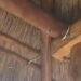 ¿Era parte del recorrido? Una serpiente sorprende a turistas en el Parque Ecológico de Bacalar