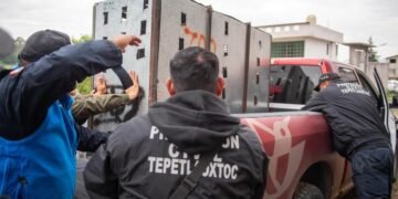 ¿Cómo lograron atraparlo? Revelan los detalles del rescate del tigre de bengala en Edomex