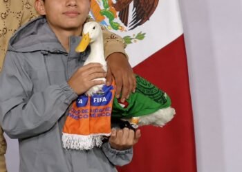 ¡El Pato Merlín estrena casa! Así consiguió un hogar para su familia