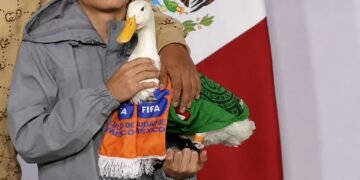 ¡El Pato Merlín estrena casa! Así consiguió un hogar para su familia