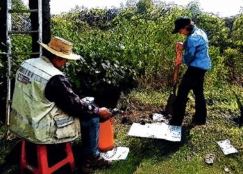 La Red Sísmica Mexicana crece; nuevas estaciones reforzarán la vigilancia en el país