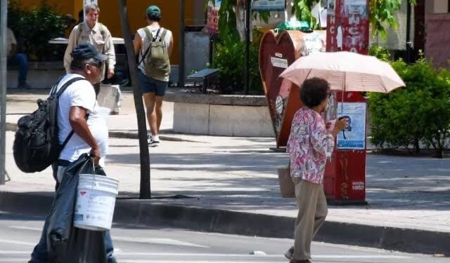 ¡Cuidado! Calorón cobra sus primeras víctimas en Quintana Roo