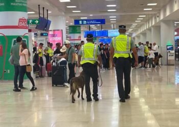¿Qué detectó el perro? Así cayó otro cargamento de droga en el aeropuerto de Cancún