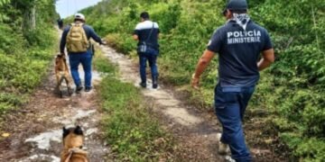 Hay 17 extranjeros desaparecidos en Quintana Roo; crean unidad especial de búsqueda