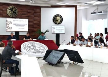 Crisis por sargazo pega a la recaudación; aprueba Playa del Carmen contraer más deuda