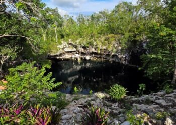 ¿Qué esconde el cenote Yaakun? INAH protege un hallazgo arqueológico único