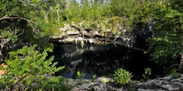 ¿Qué esconde el cenote Yaakun? INAH protege un hallazgo arqueológico único