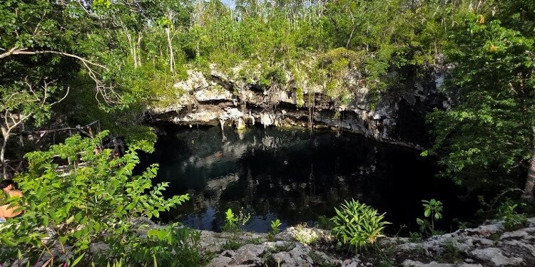 ¿Qué esconde el cenote Yaakun? INAH protege un hallazgo arqueológico único